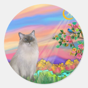 Adesivo Ragdoll Cat (Ponto Azul) - Estrela do Dia