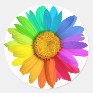 Adesivo Rainbow Daisy