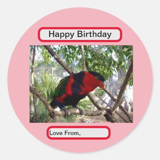 Adesivo Rainbow Feather: Bonito australiano Lorikeet, (Frente)
