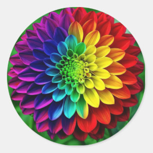 Adesivo Rainbow Flower - Dahlia Colorida