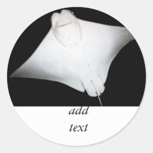 Adesivo Raio Sorrindo