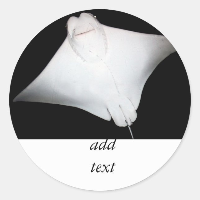 Adesivo Raio Sorrindo (Frente)