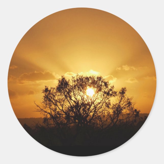 Adesivo raios solares (Frente)