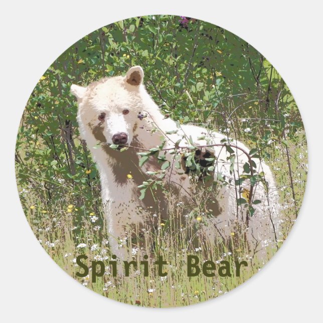 Adesivo Rare Kermode Spirit Bear, Trabalho de arte (Frente)