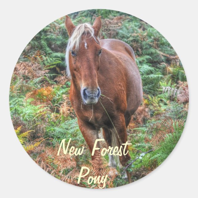 Adesivo Rare Palomino New Forest Pony & Bracken - Inglater (Frente)