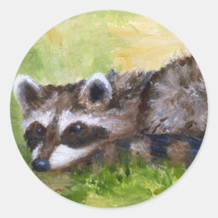 Adesivo Rascal aceo Raccoon Sticker
