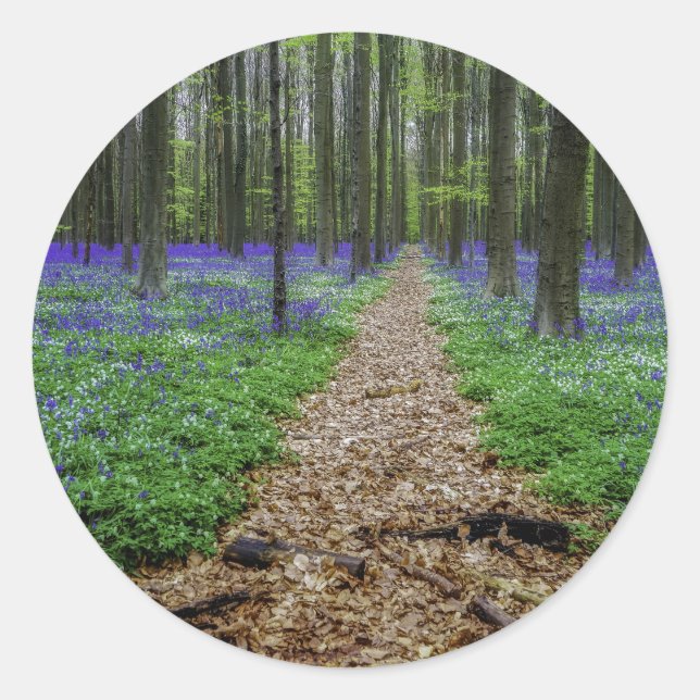 Adesivo Rastreio (Frente)