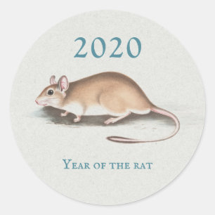 Adesivo Rat 2020 - Rato chinês de novo ano azul