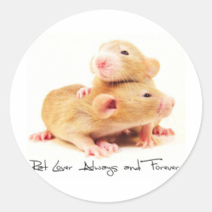Adesivo Rat Lover para sempre e para sempre