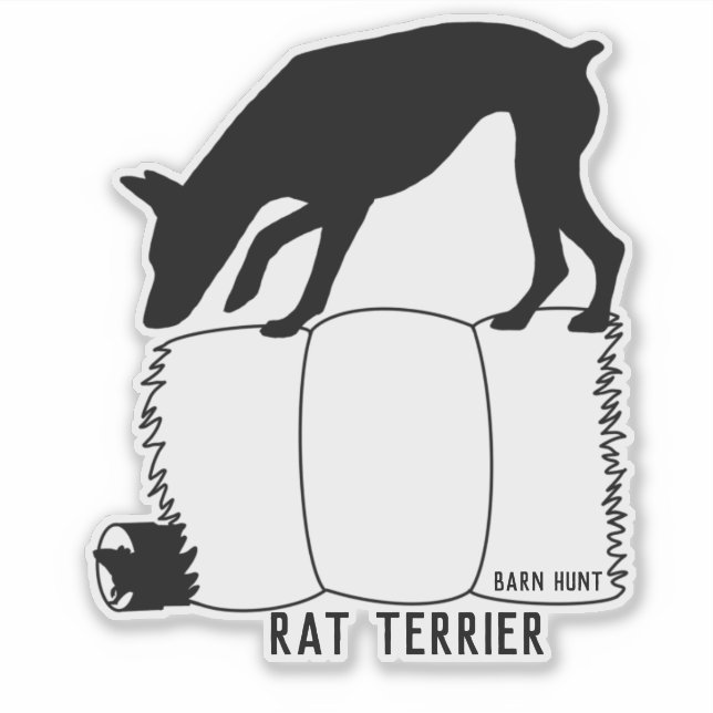 Adesivo Rat terrier barn hunker (Frente)