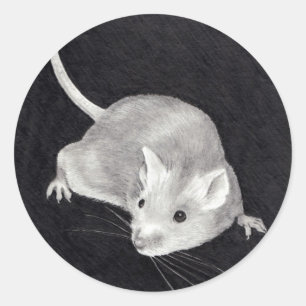 ADESIVO RATO: ARTE DO REALISMO DO LÁPIS
