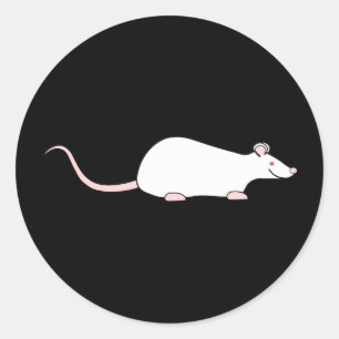 Adesivo Rato branco do animal de estimação do albino