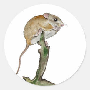 Adesivo Rato de aquarela realista em uma árvore