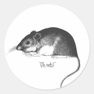 Adesivo rato vintage mouse retrô elegante chique