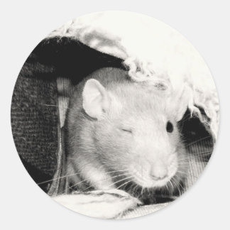 Adesivo Rato Winking!