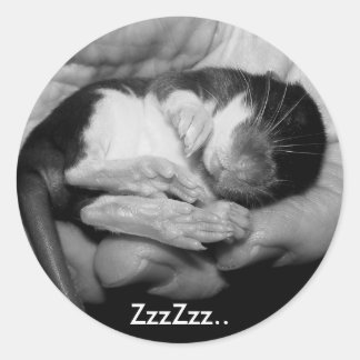 Adesivo Rattie Sticker