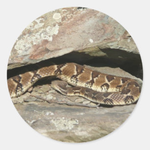 Adesivo Rattlesnake no Parque Nacional de Shenandoah