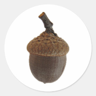 Adesivo Receitas da Cozinha de Comida de Invólucro de Louc