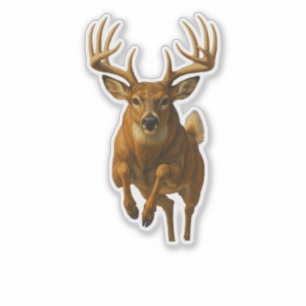 Adesivo Recortado Whitetail