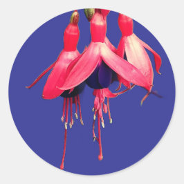 Adesivo Red and purple flowers