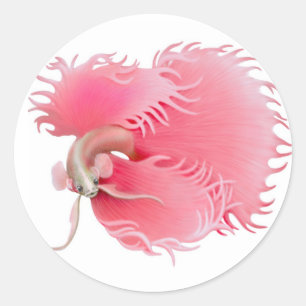Adesivo Red Betta Splendens Fish Sticker