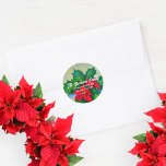 Adesivo Red Christmas Poinsettia Flowers Endereço<br><div class="desc">Belo envelope de Natal personalizado,  design com flores vermelhas de Poinsettia com folhas verdes no estilo de pintura impressionista. O texto é totalmente personalizável. Para alterá-la,  use a opção Personalizar. Para obter mais alterações,  como alterações na fonte,  cor da fonte ou layout de texto,  use a opção Editar design.</div>