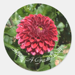 Adesivo Red Dahlia