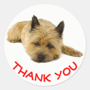 Adesivo Red Obrigado Cairn Terrier Puppy Dog