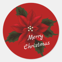 Red. Poinsettia Natal