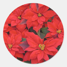 Adesivo Red Poinsettias I Festa Floral de Natal