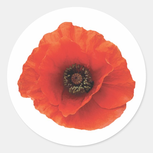 Adesivo Red Poppy (Frente)