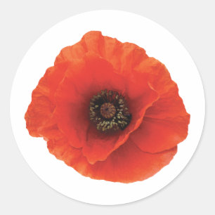 Adesivo Red Poppy