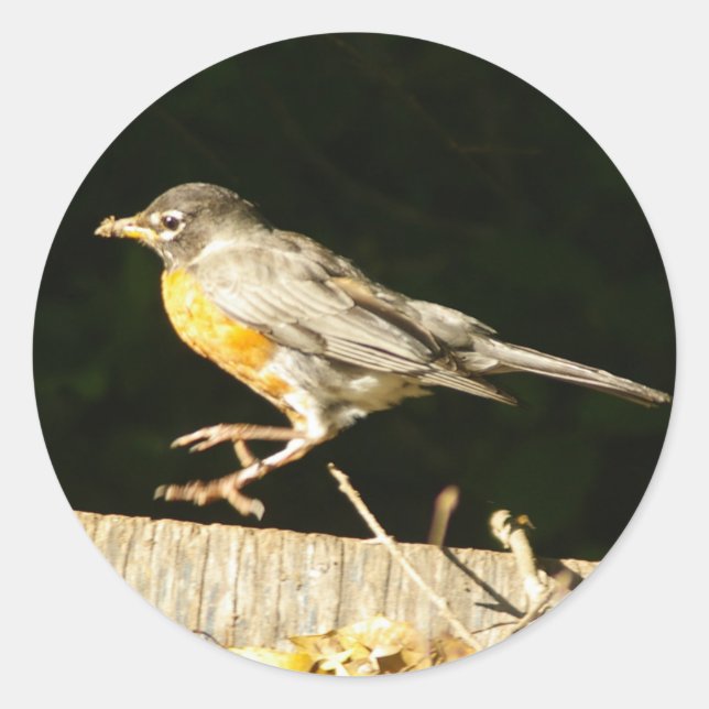 Adesivo Red Robin Bobbin (Frente)