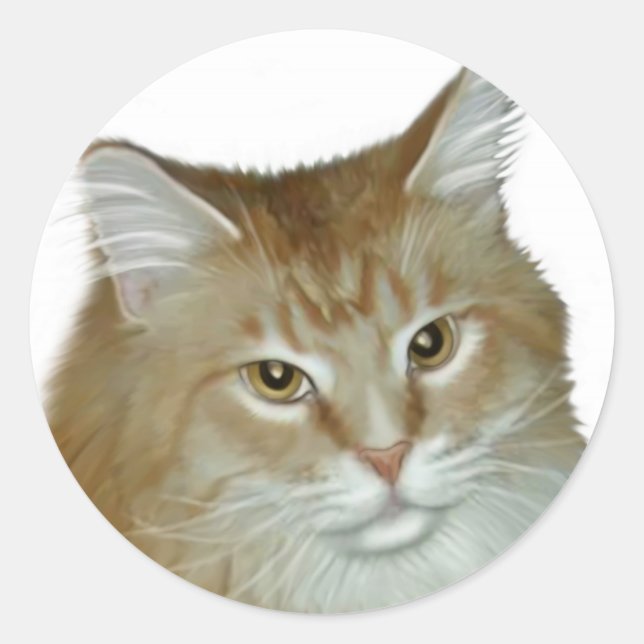 Adesivo Red Tabby Maine Coon (Frente)