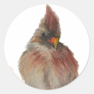 Adesivo Redbird Sticker