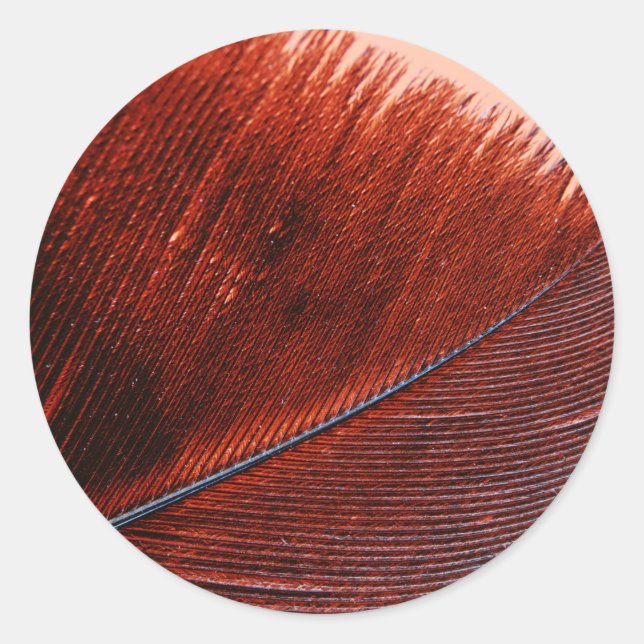 Adesivo redondo clássico (Frente)