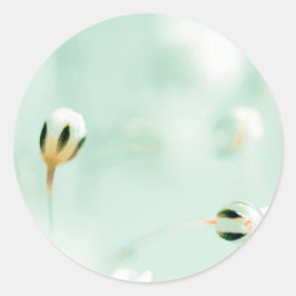 Adesivo Redondo com Impressão de Flor Bonita