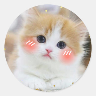 Adesivo Redondo de Rosto Rosado de Gatinho Fofo Ka