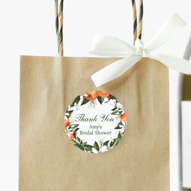 Adesivo Redondo Laranja Squeeze Principal (Criador carregado)