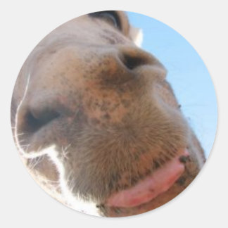 Adesivo redondo - Spike