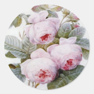 Adesivo Redouta Pink Roses Round Sticker