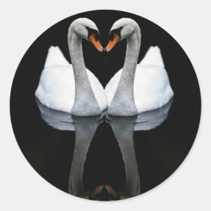 Adesivo Reflexões sobre amor, forma cardíaca, Cisnes branc