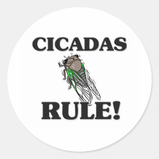 Adesivo Regra CICADAS!
