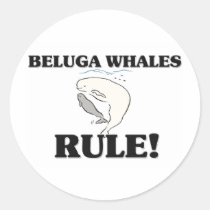 Adesivo Regra das BALEIAS da BELUGA!