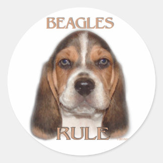 Adesivo Regra dos Beagles!
