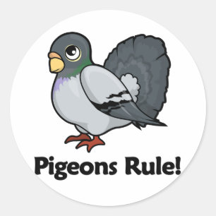 Adesivo Regra dos pombos!