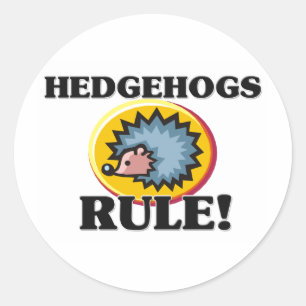 Adesivo Regra HEDGEHOGS!