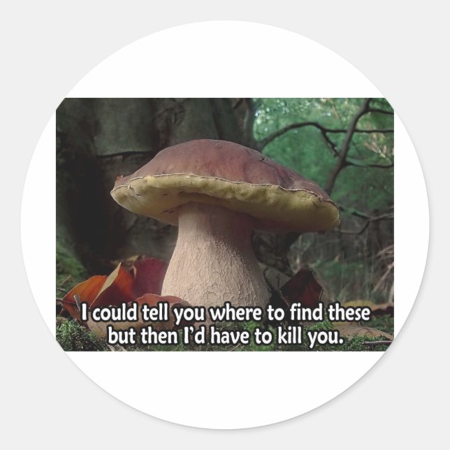 Adesivo Rei Bolete - Eu teria que te Matar (Frente)