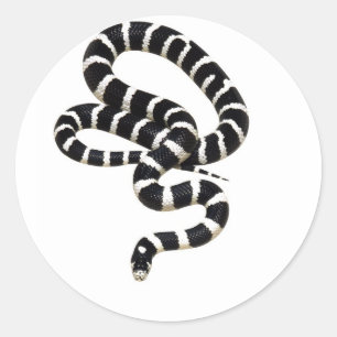 Adesivo Rei cobra de Junglewalk.com