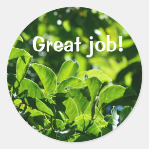 Adesivo Renovação de folhas verdes: professor de excelente